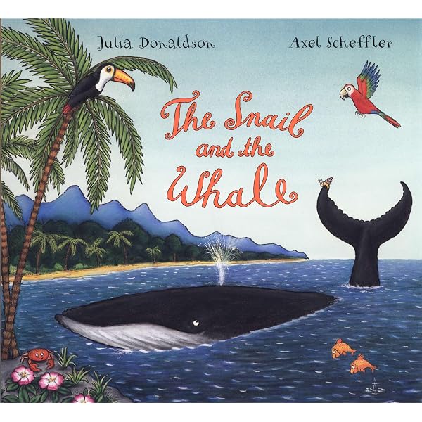 The Smartest Giant in Town: Donaldson, Julia: 9780333961445